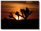 Thumbs/tn_DVC01717.jpg