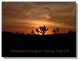 Thumbs/tn_DVC01720.jpg